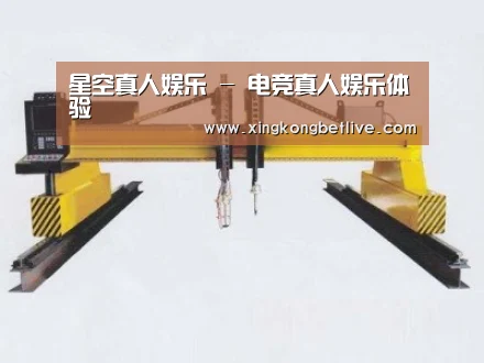 产品名称十九