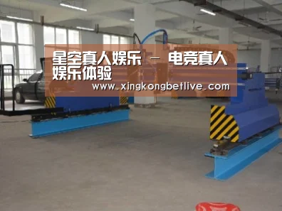 产品名称十九